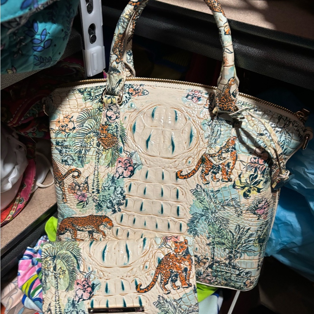 COPY - Brahmin satchel and walloet wanted to buy